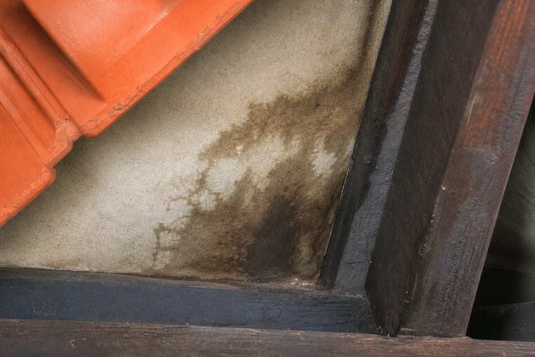Exemple : trace d'humidité sous couverture lors d'une recherche d'infiltration